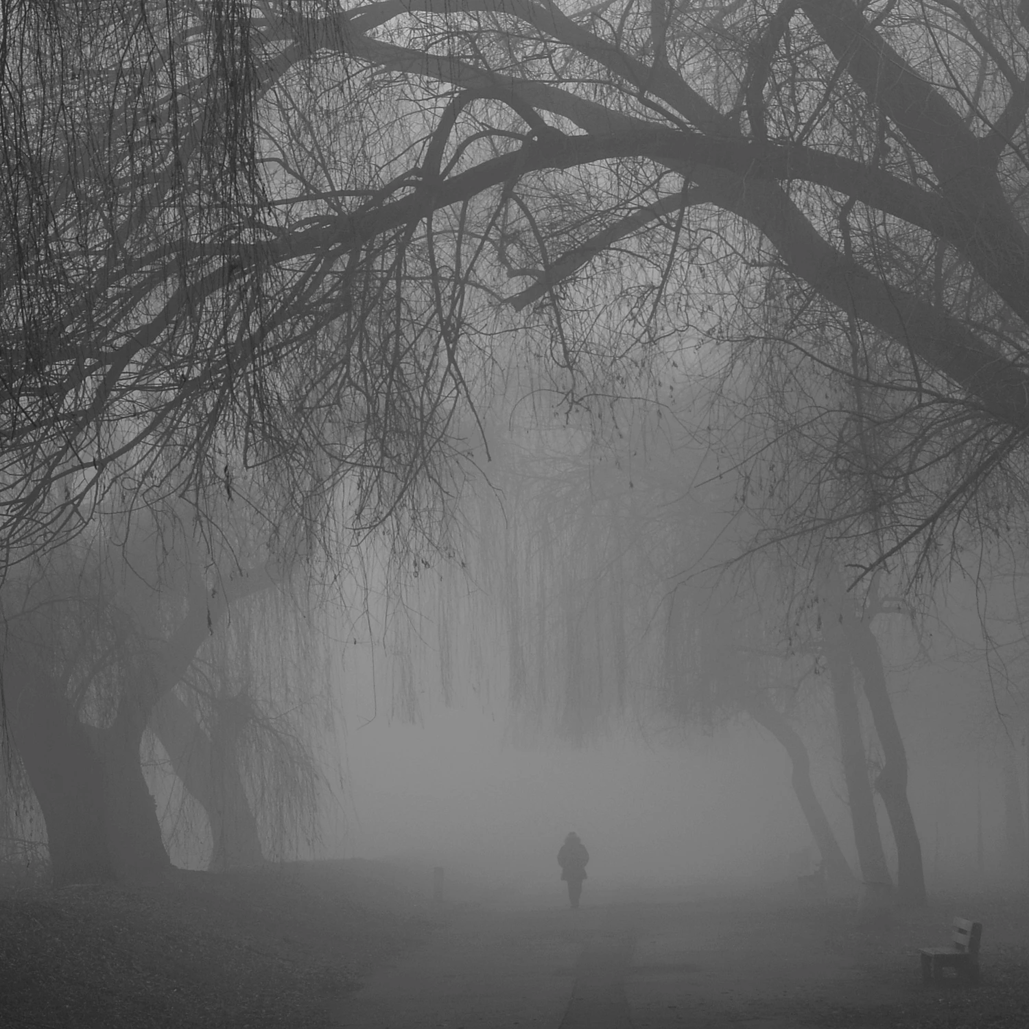 Mgliście to widzę..