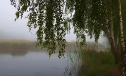 Nad wodą 