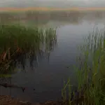 Nad wodą 