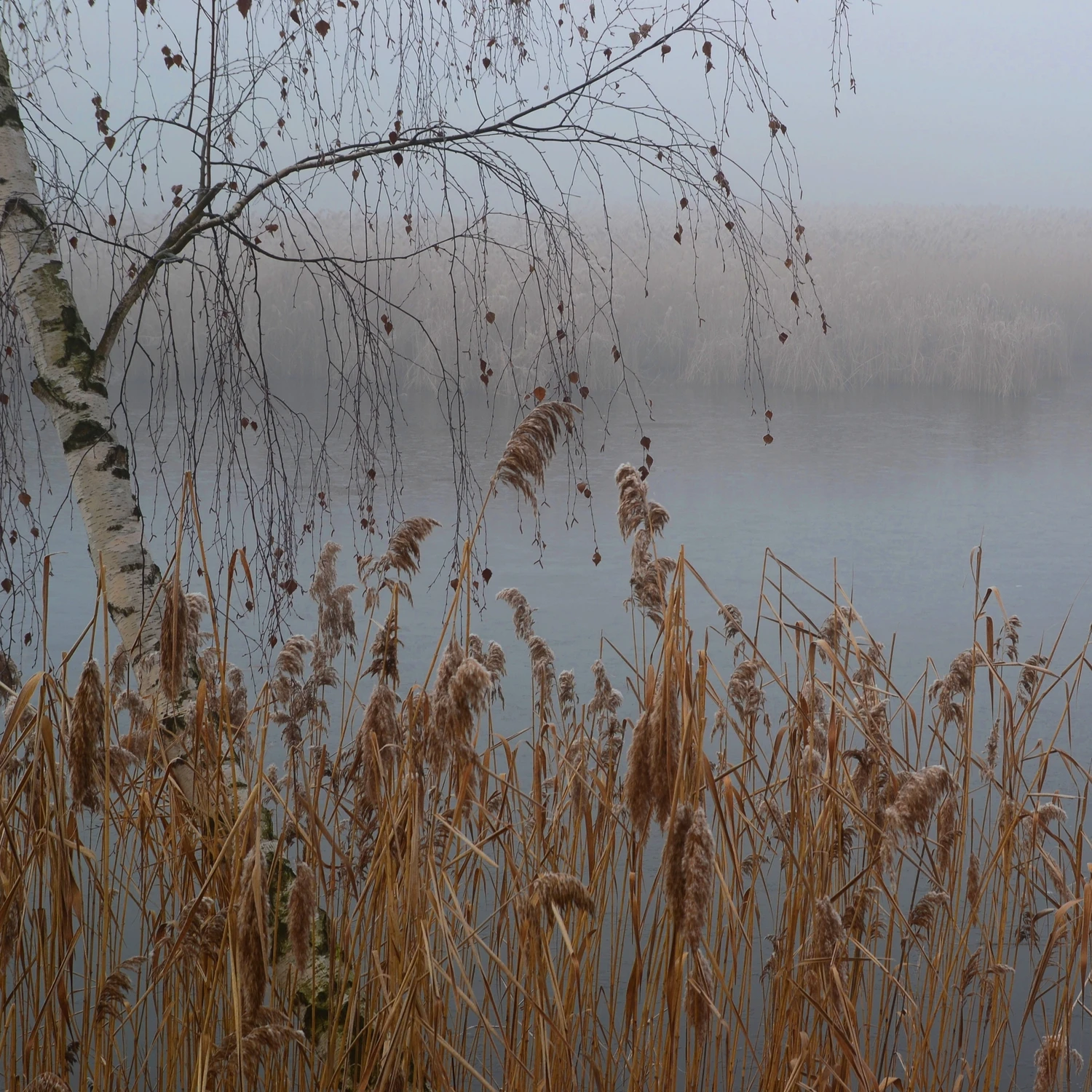 Nad wodą 