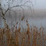 Nad wodą 