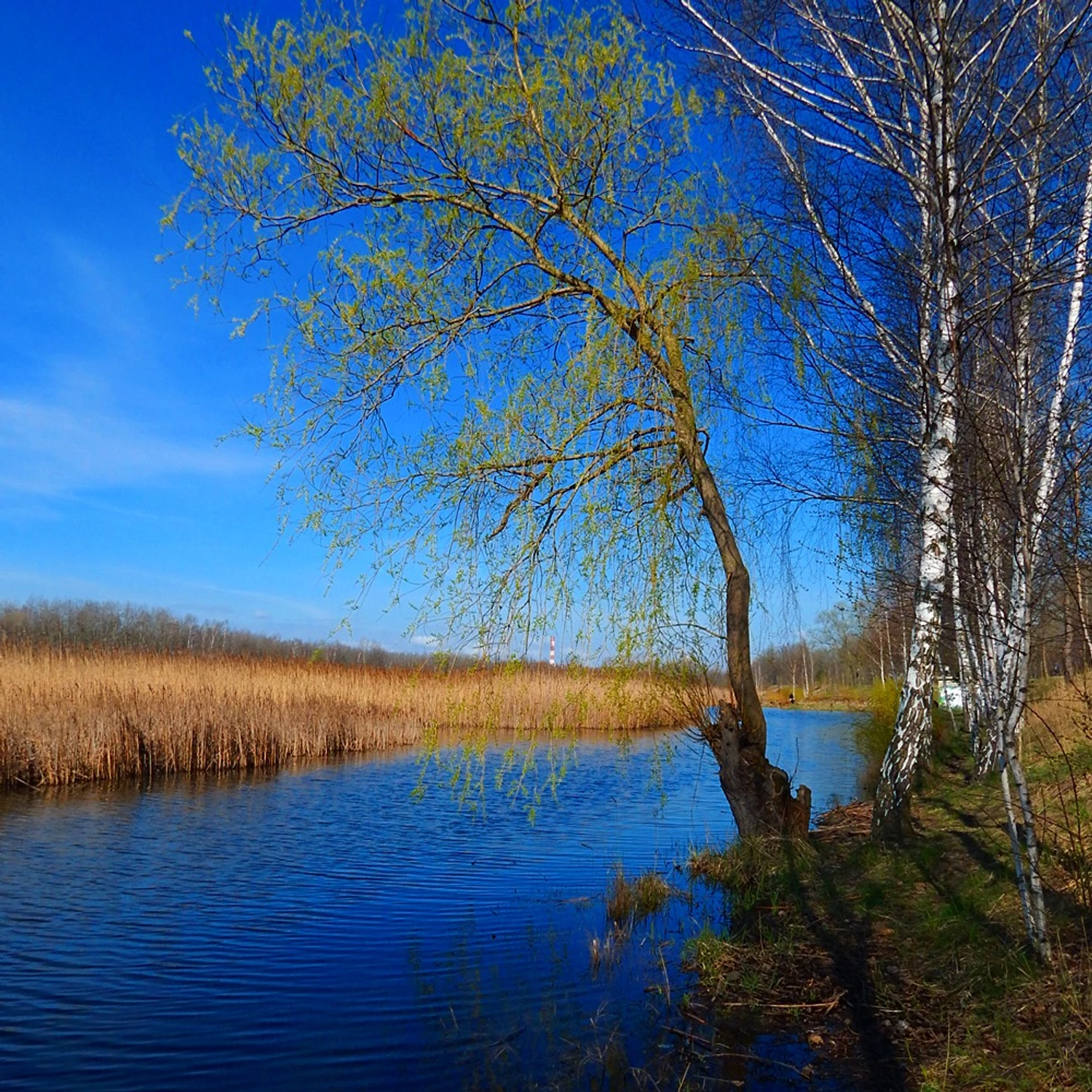 Nad wodą 