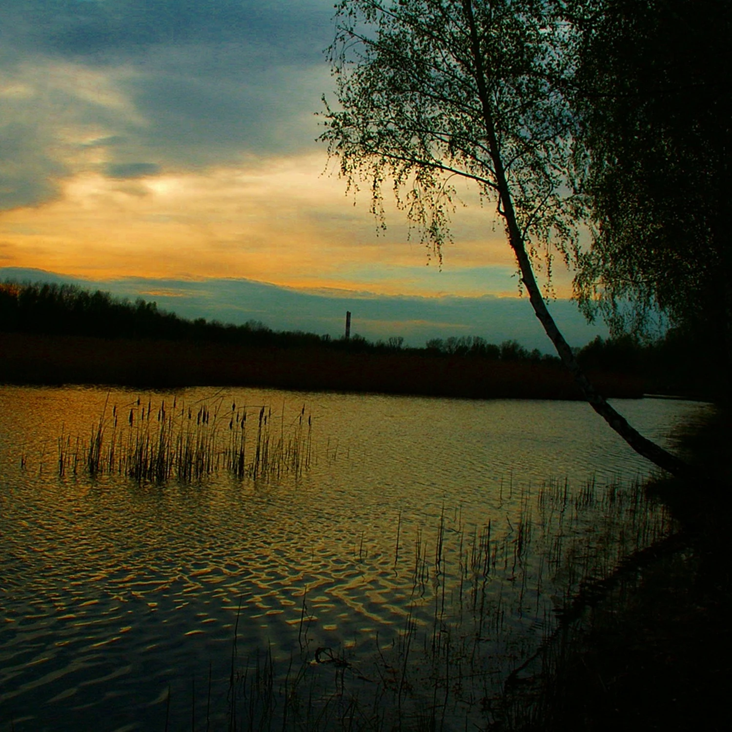 Wieczorem 