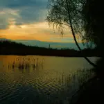 Wieczorem 