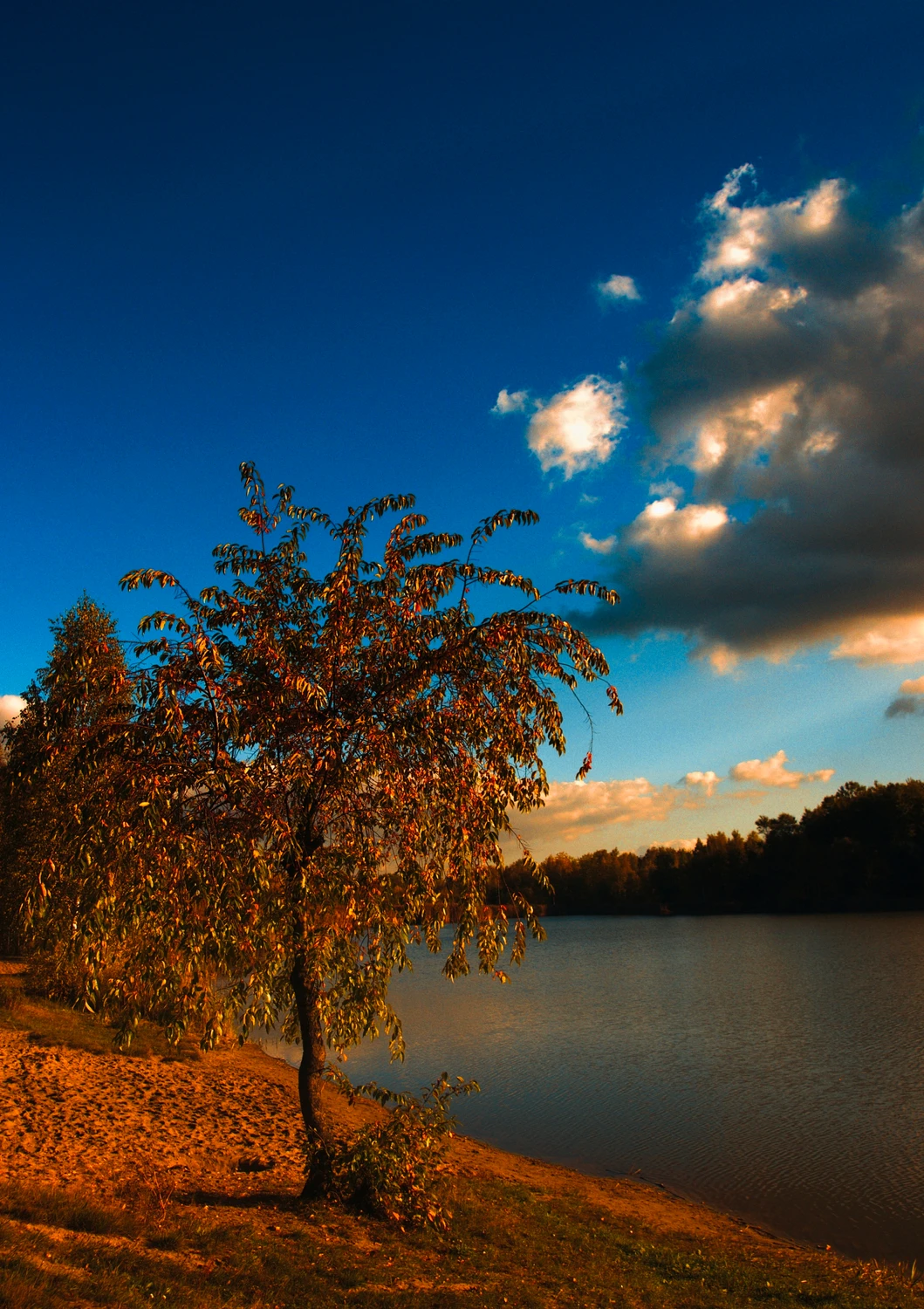 Nad wodą 