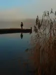 Nad wodą 