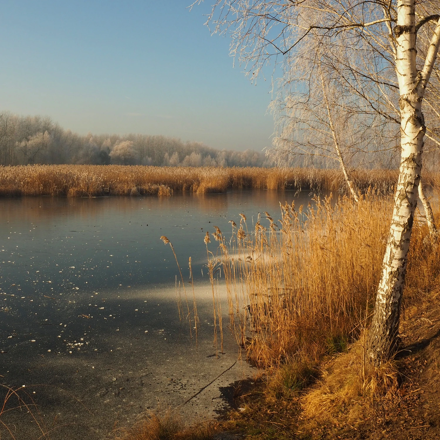 Jeszcze zimowo