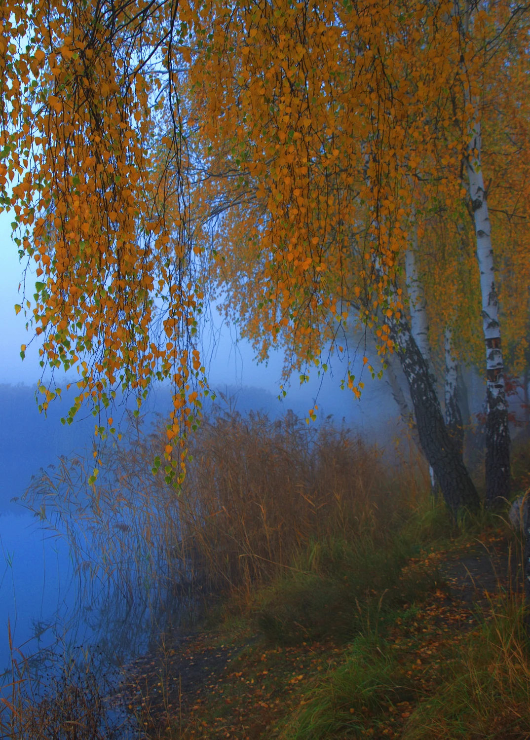 Jesień nad wodą 