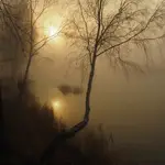 O świcie