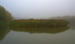 Nad wodą 