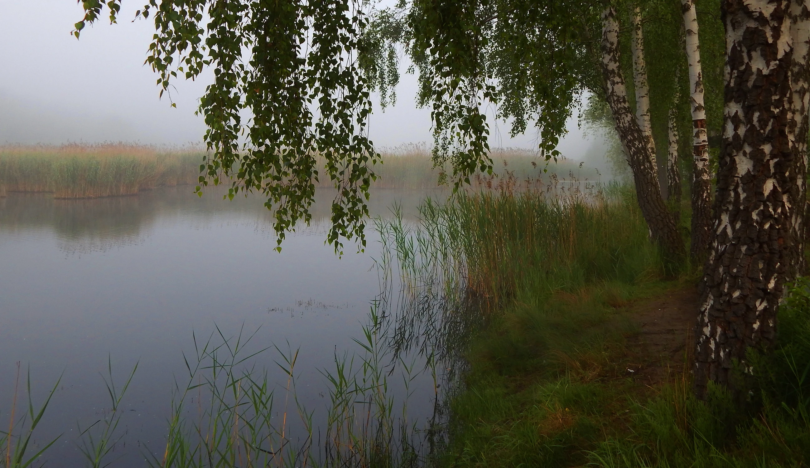 Nad wodą 