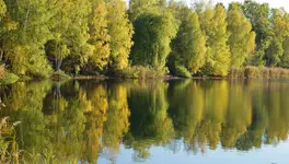 Jesień nad wodą