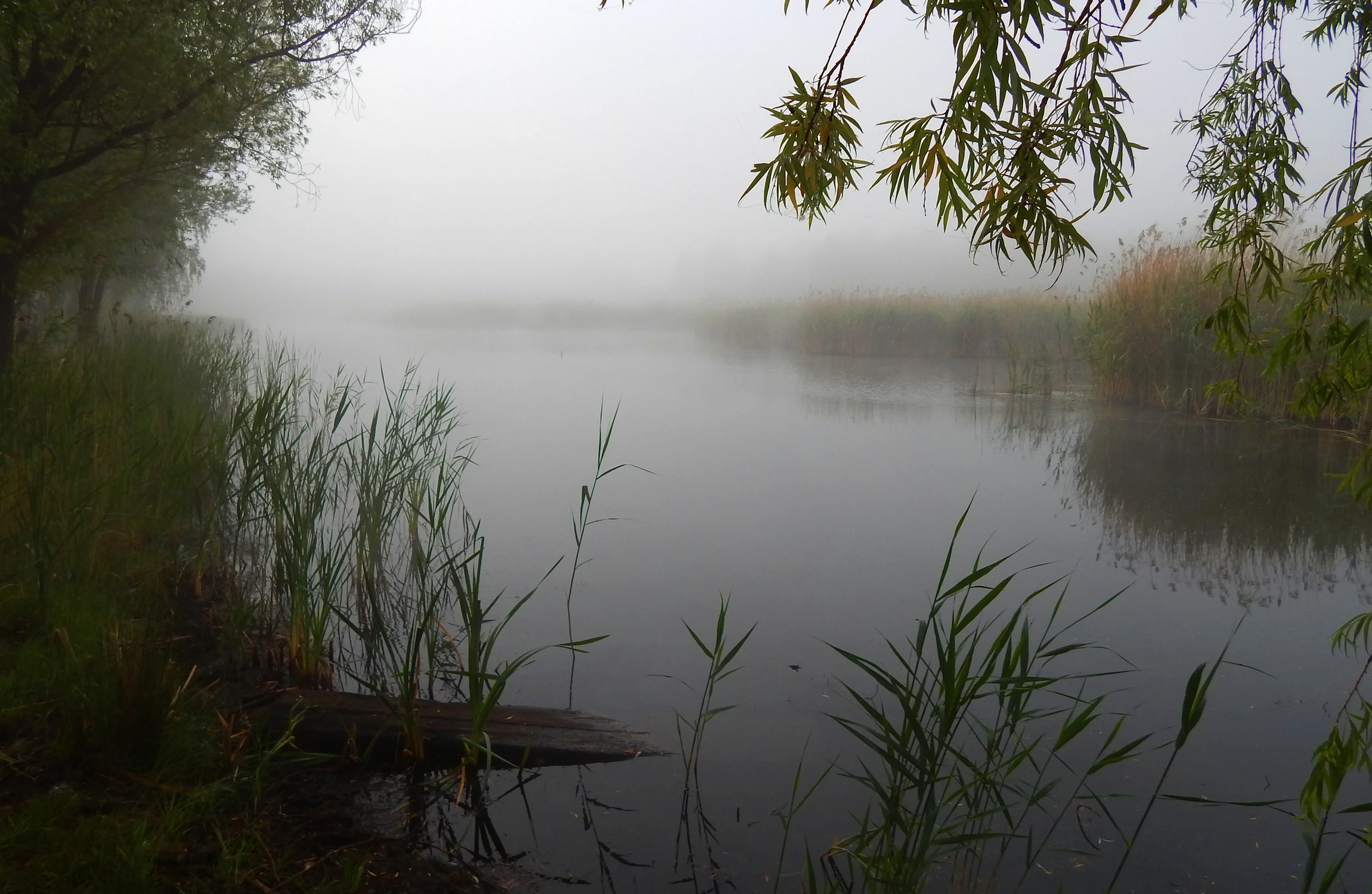 Nad wodą 