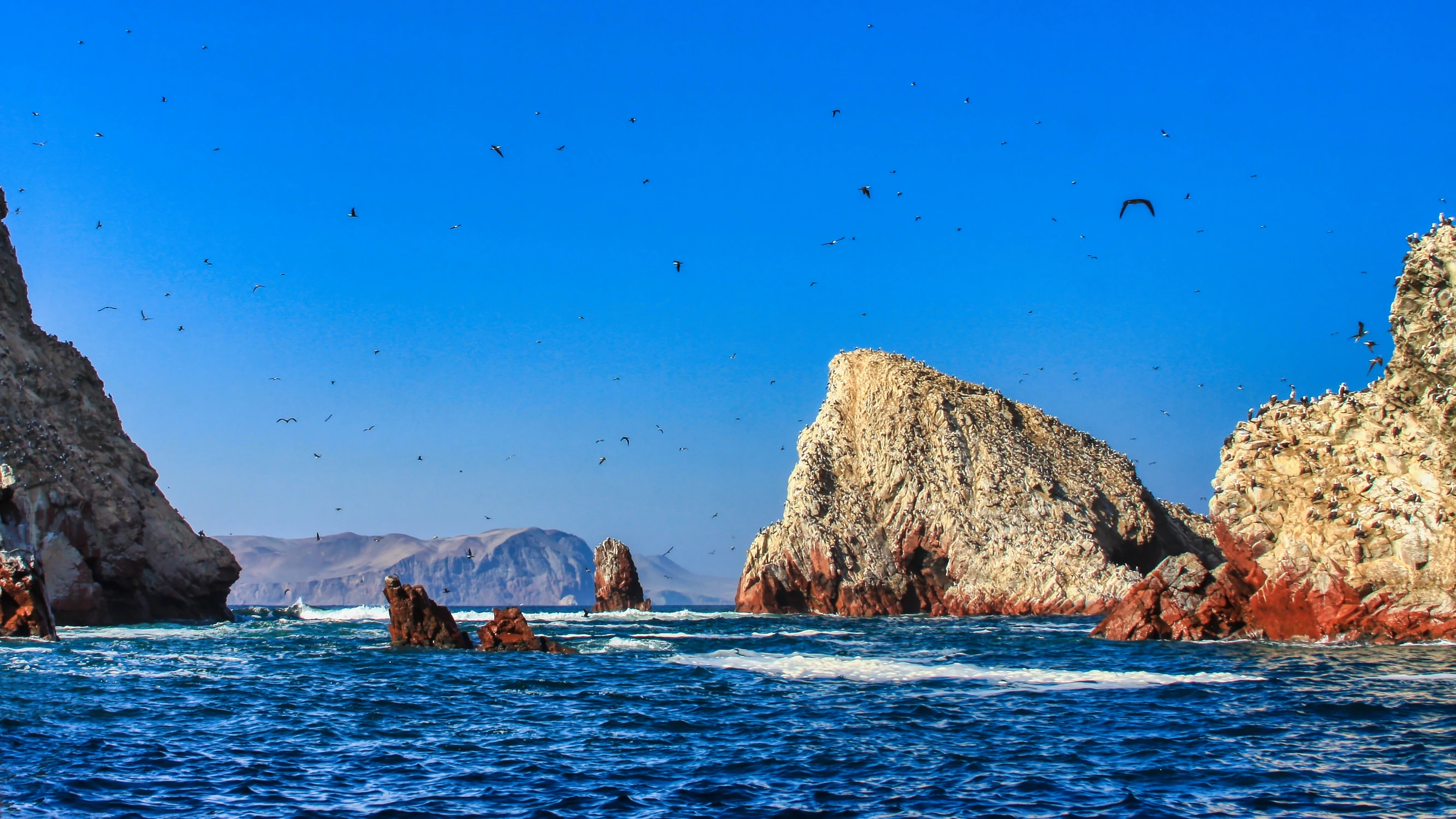 Peruwiański Galapagos