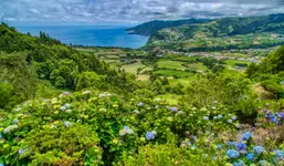 Azory, wyspa Sao Miguel
