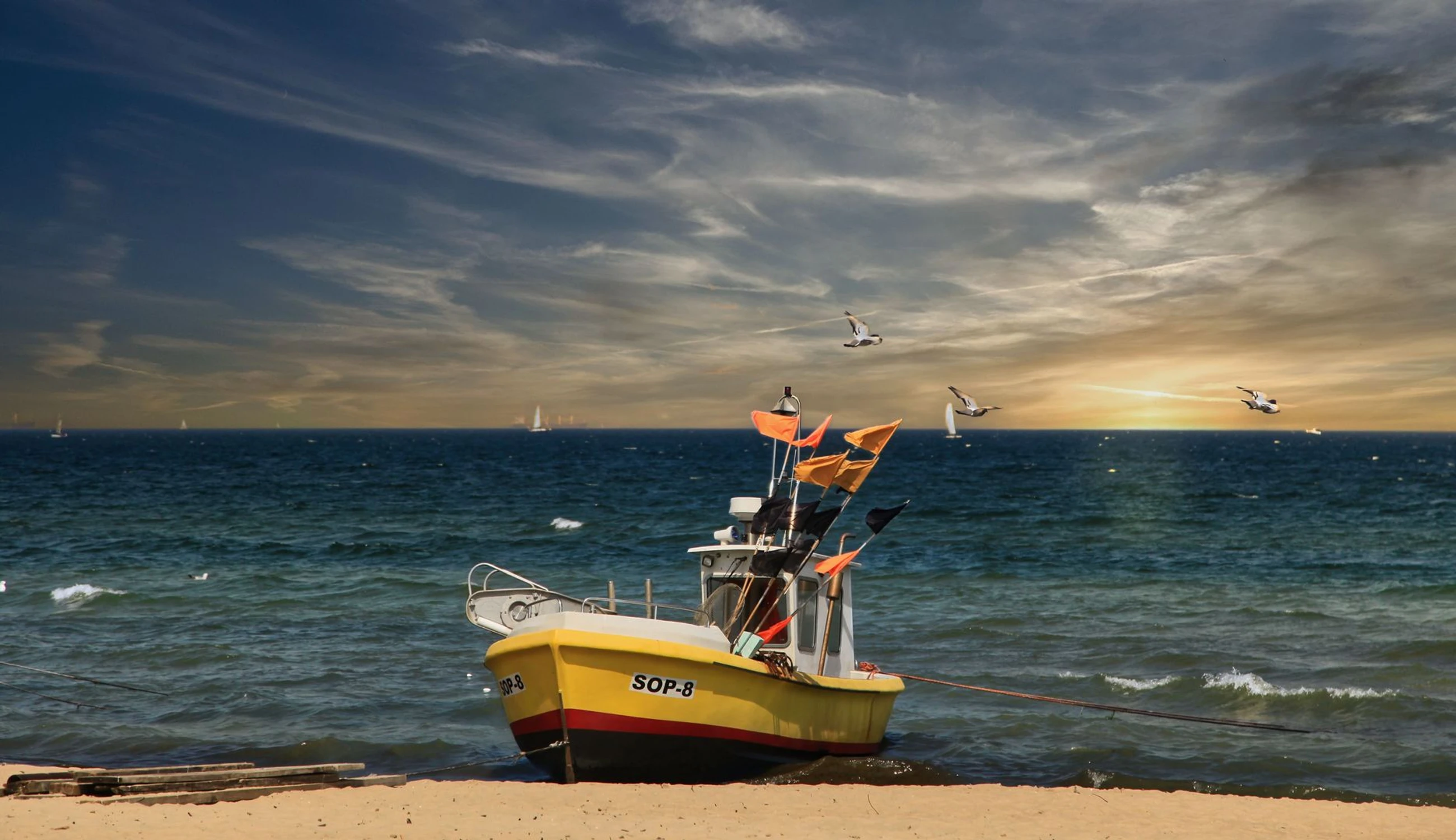 a mnie jest szkoda lata ...