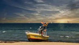 a mnie jest szkoda lata ...