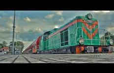 Wolność w Podróży 2025