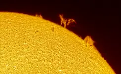 ***