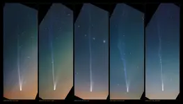 C/2025 A6 Lemmon - ewolucja warkocza gazowego