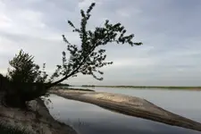 Wiślane piaski