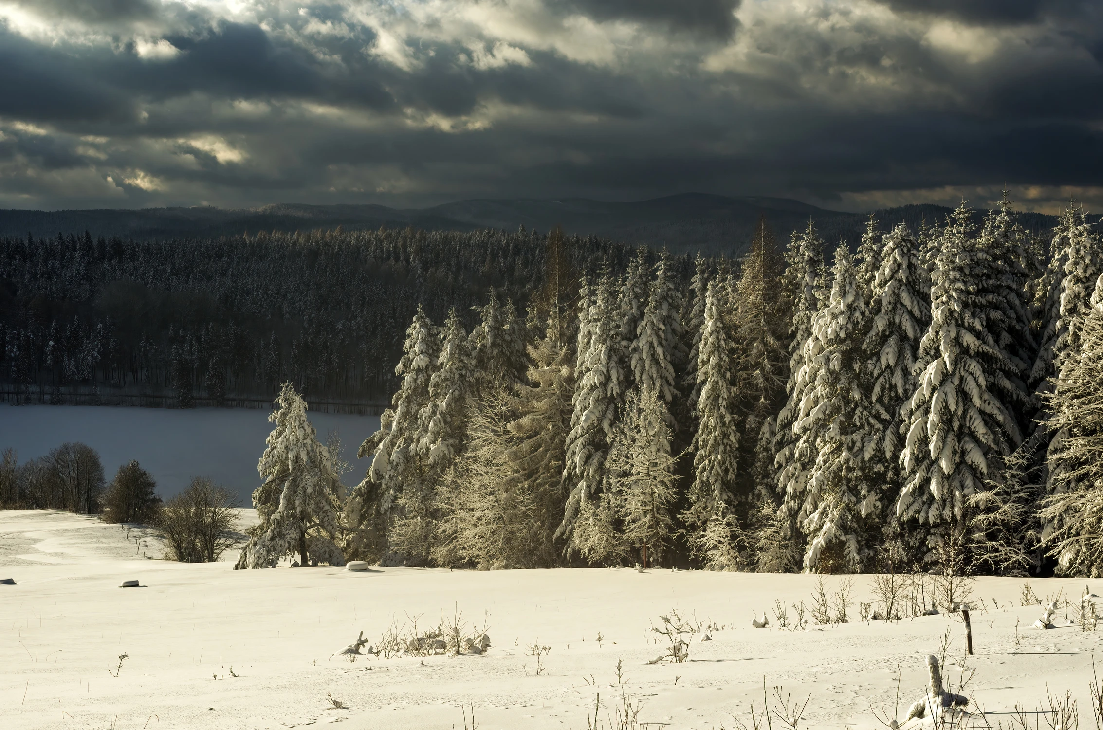 Groźne oblicze zimy
