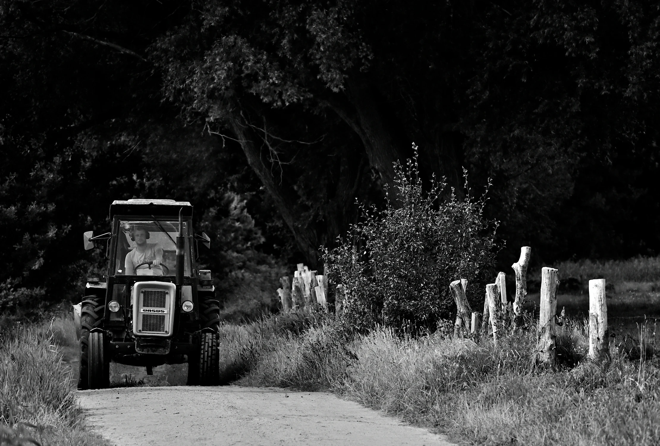 też mam niedźwiedzia... ;)