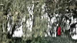 jesienne refleksje IV