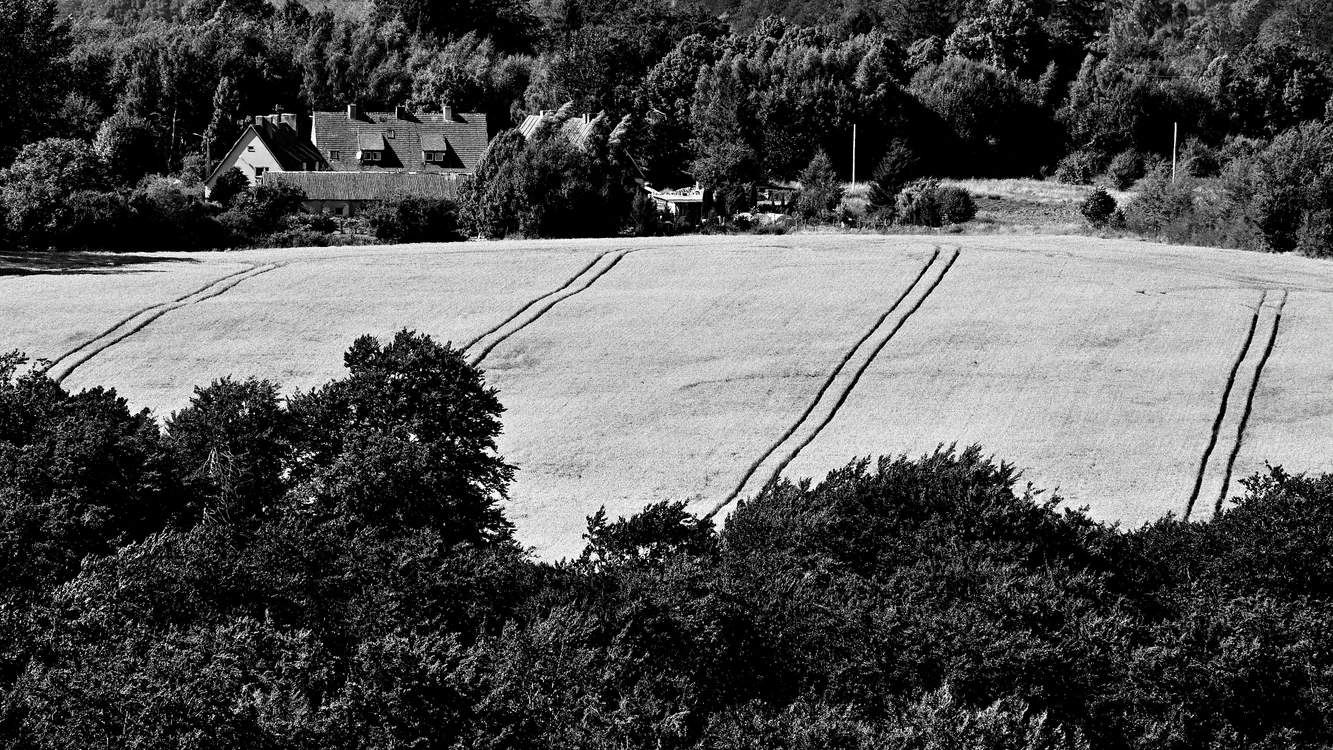 Greenhorn