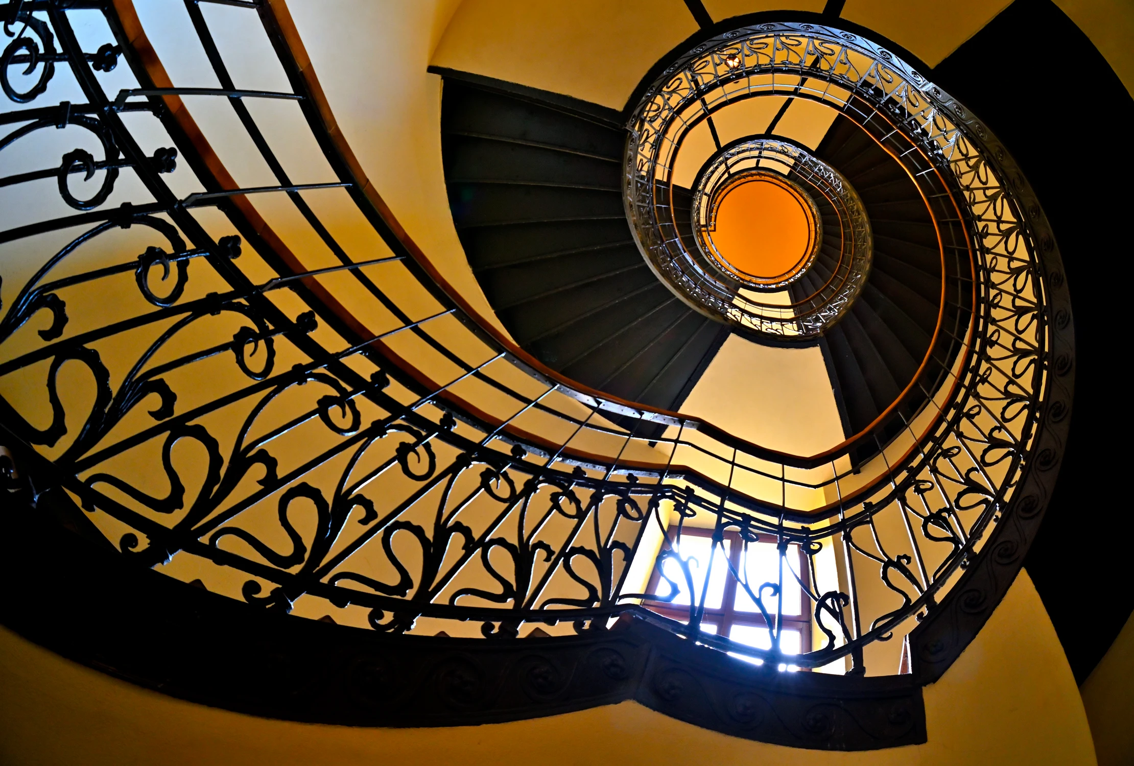 trochę koloru do PF... ;)