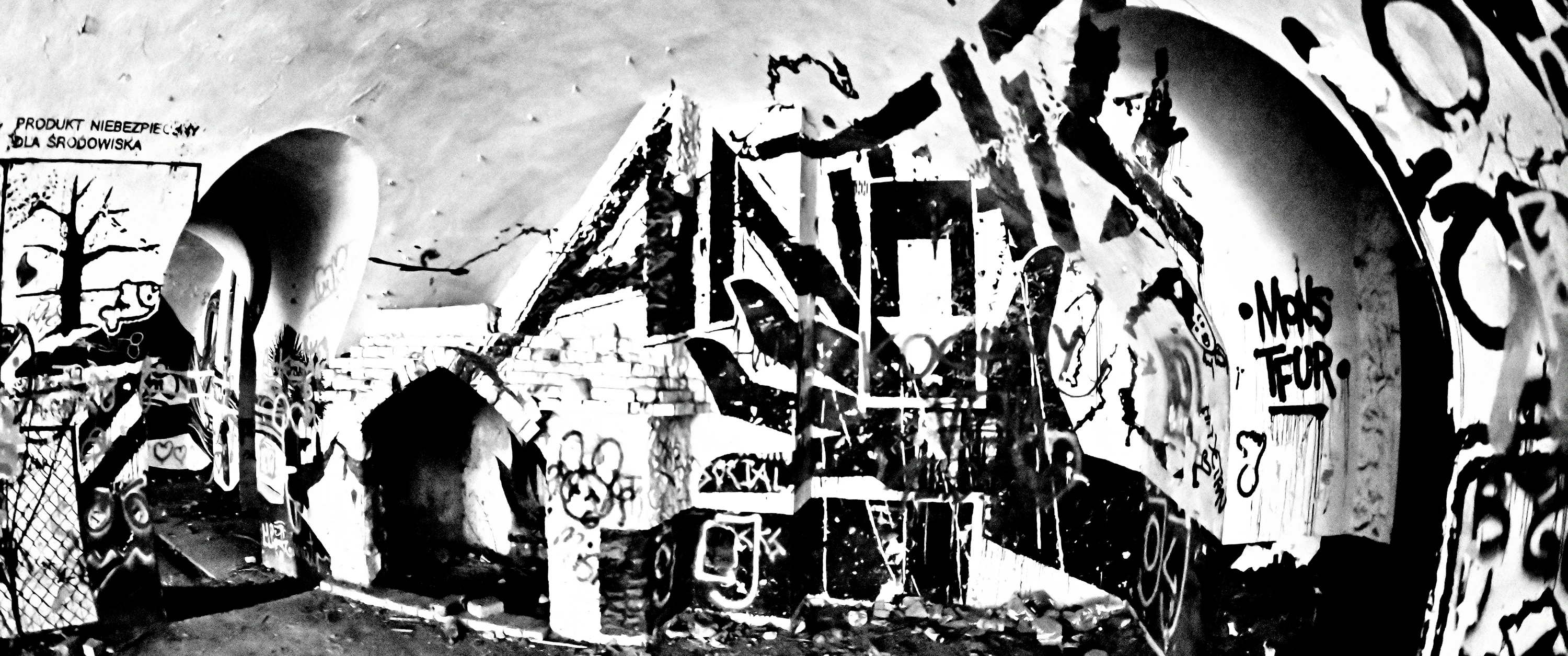 produkt niebezpieczny dla środowiska