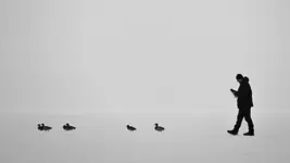 jakaś dziwna kaczka...