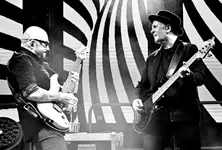 Grzegorz Skawiński, Waldemar Tkaczyk i... owady