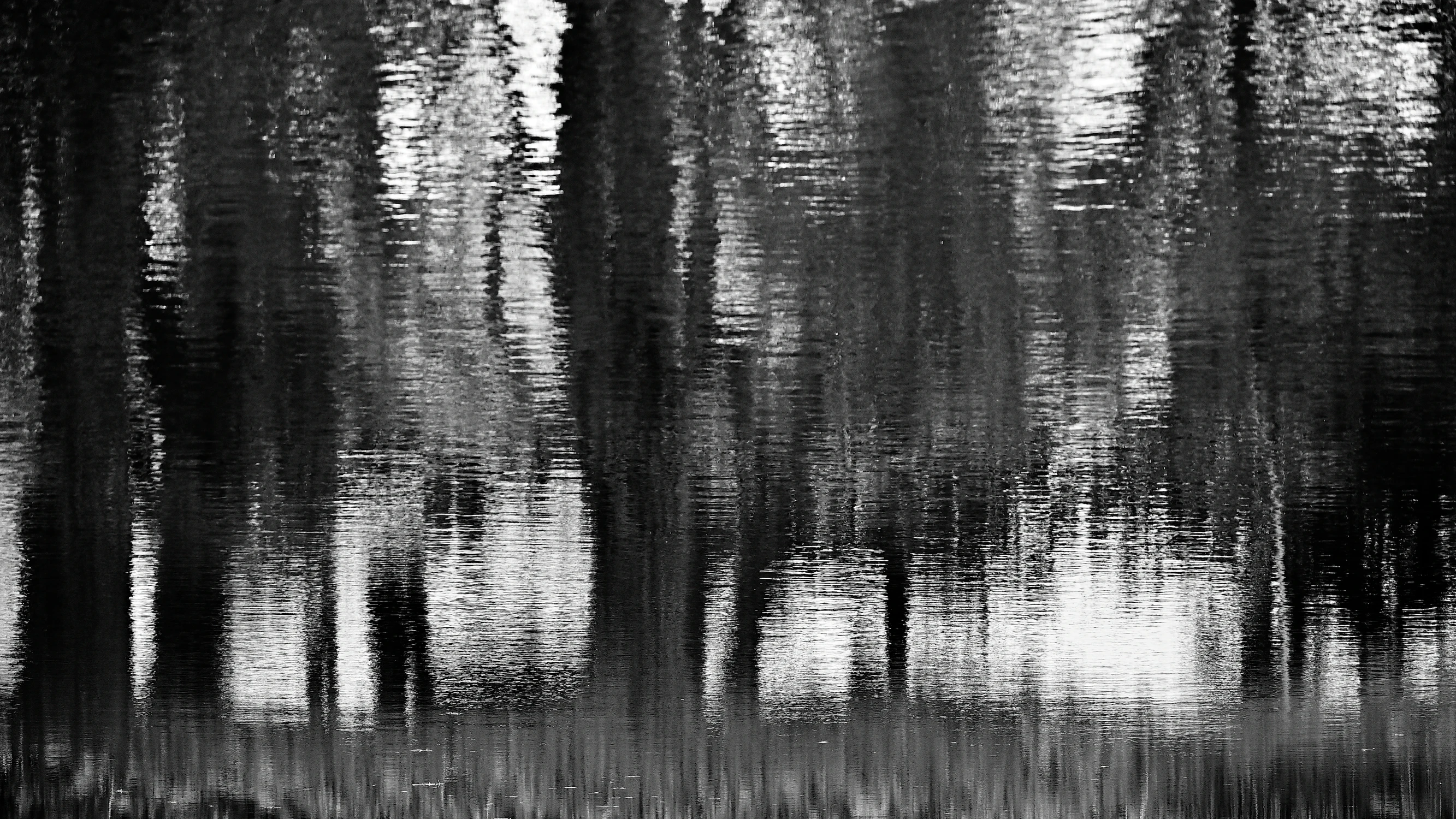 jesienne refleksje VII