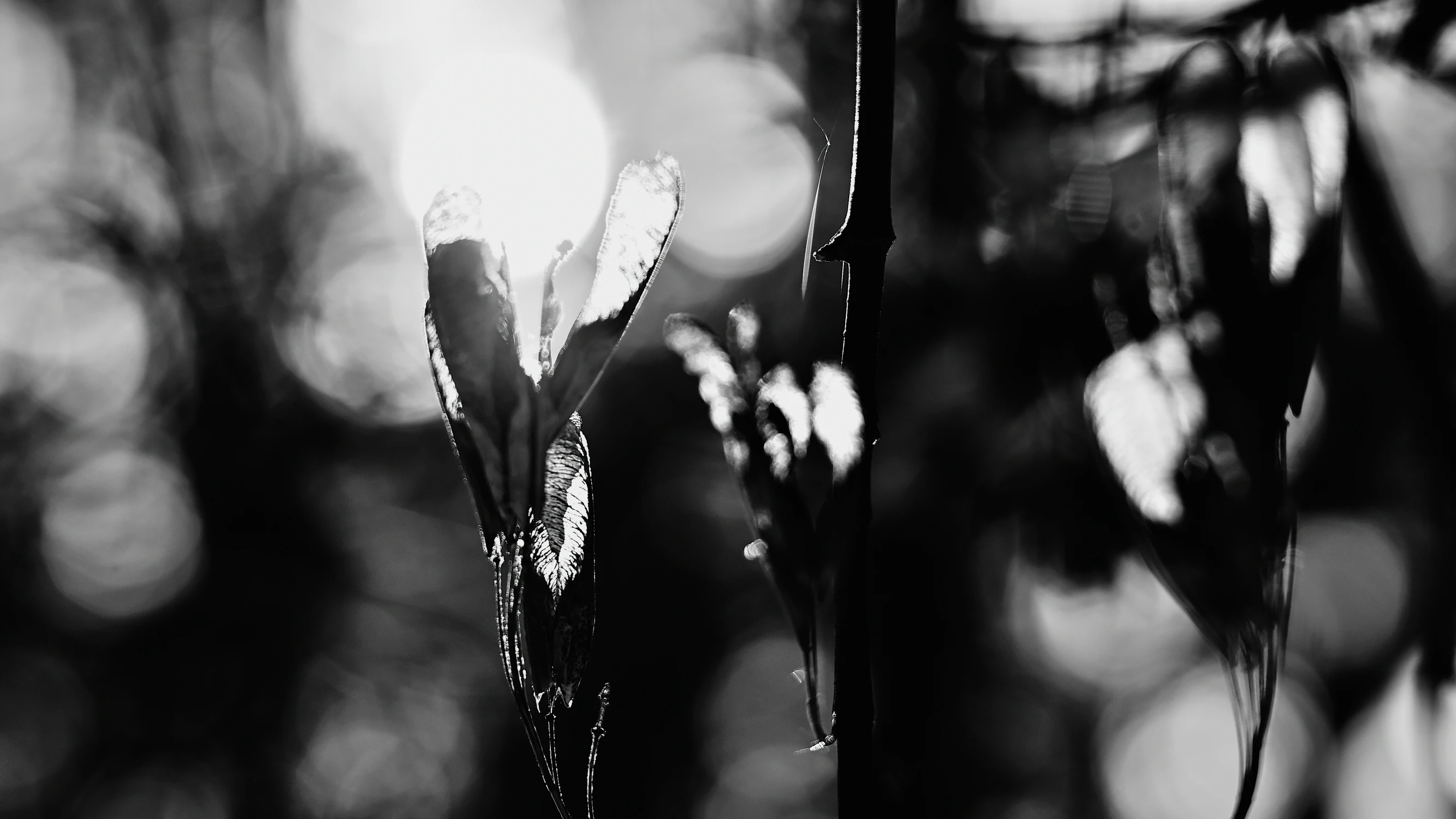 another world ;)