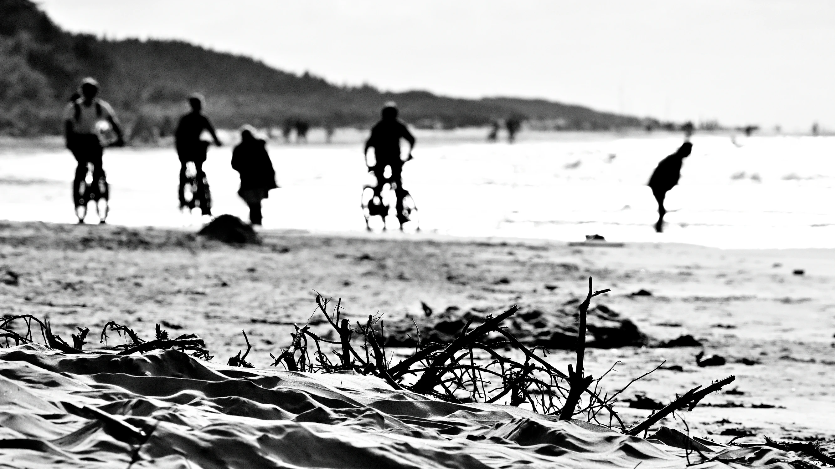 beach life