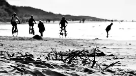 beach life