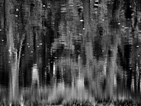 jesienne refleksje II