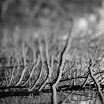  noworoczna abstrakcja