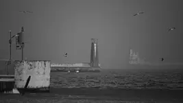 zdjęcie bez tytułu