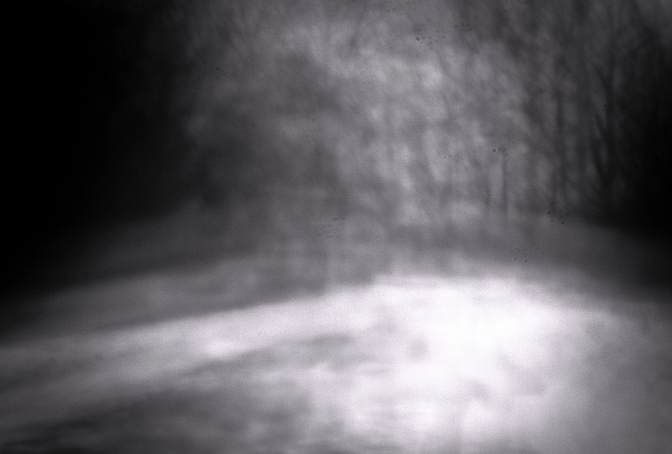 weekendowa abstrakcja wielootworkowa