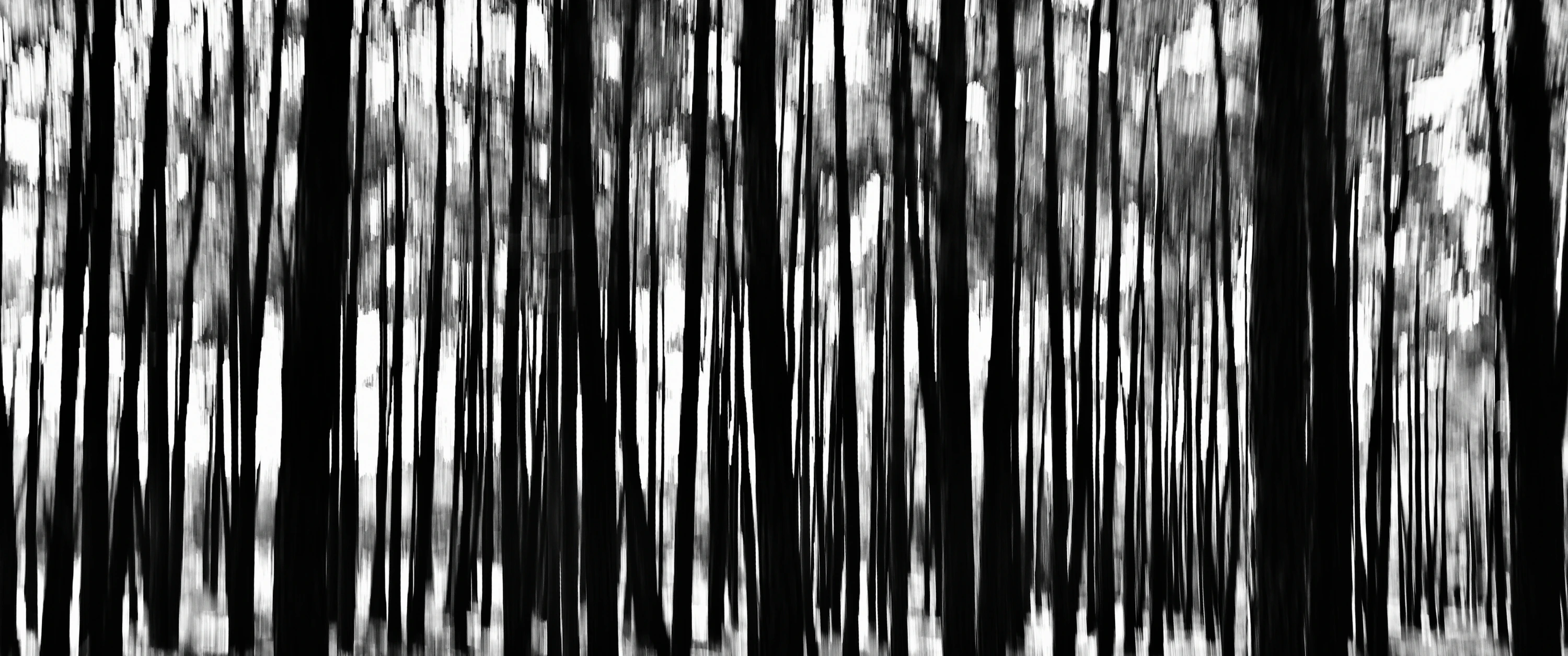 leśny barcode