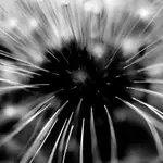 The Big Bang
