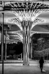 Lublin - Dworzec Metropolitalny