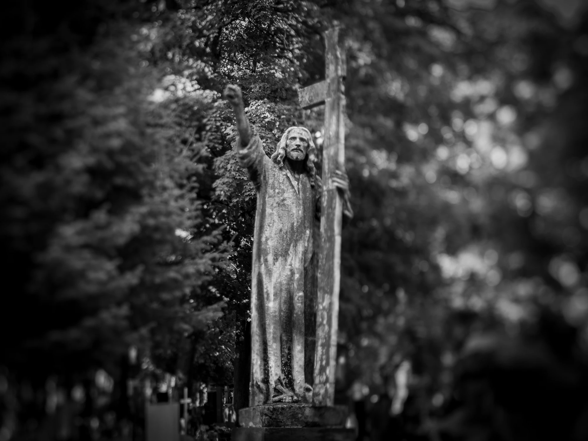 na lubelskim smętarzu