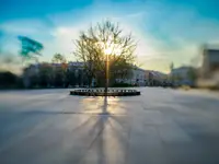 Lublin- "BAOBAB" na Placu Litewskim