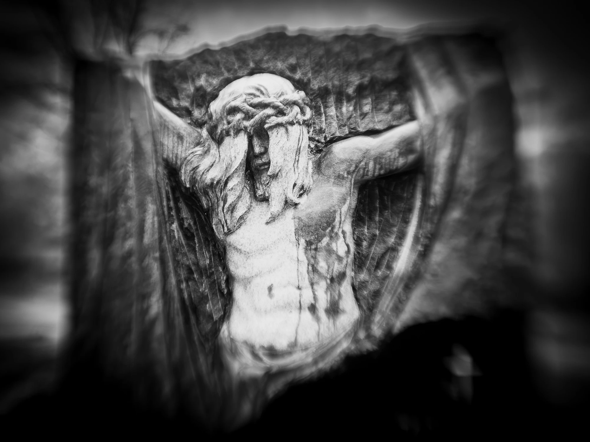 na smętarzu w Wąwolnicy