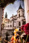 Lublin w oczach kamienic