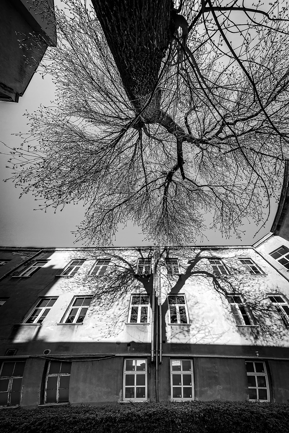 Lublin - ul. Krakowskie Przedmieście