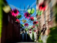 Lublin lensbaby